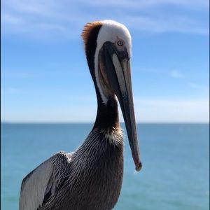 Meet your Posher, Tina